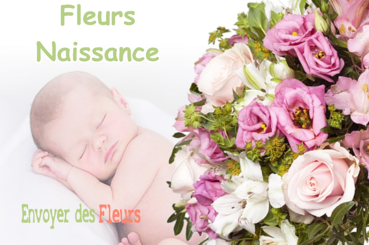 lIVRAISON FLEURS NAISSANCE à SAINT-HILAIRE-DE-LA-COTE